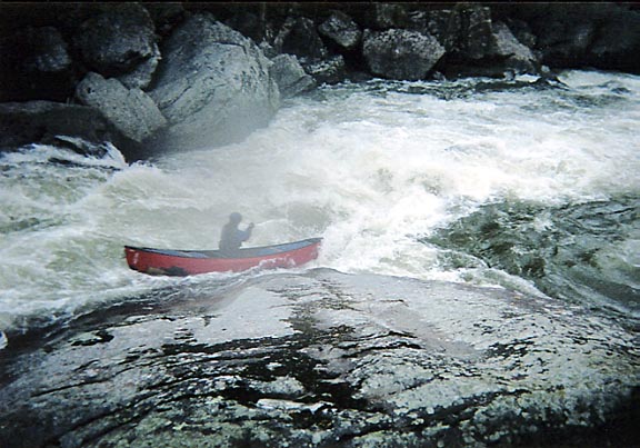 (RM) Stinger