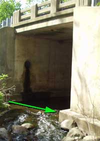 Clove Br. Bridge gauge