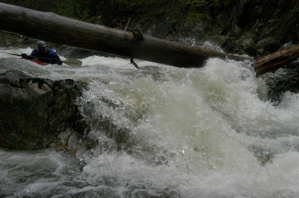Log Across River #1