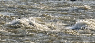 Triple Waves