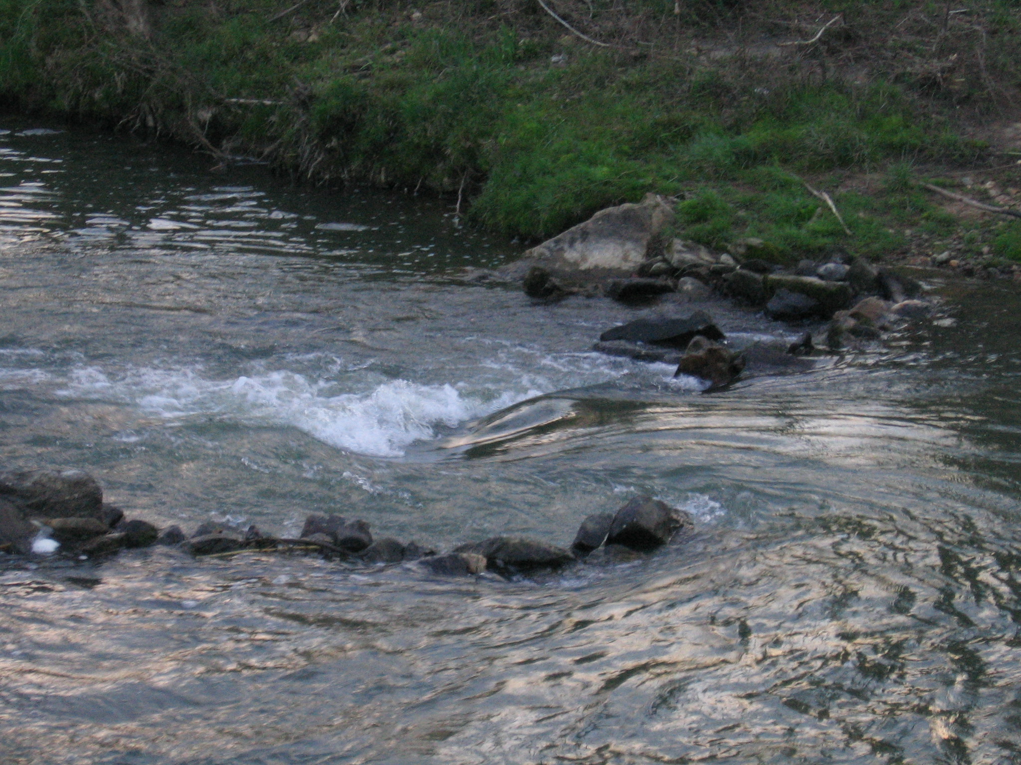 Advanced Mills Dam, Experimental play feature