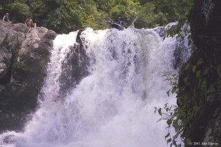 Abrams Falls