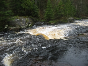 Warm-up Rapids