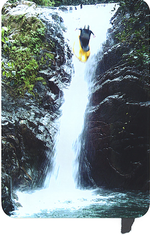 Reach banner