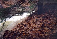 The Flume of Doom