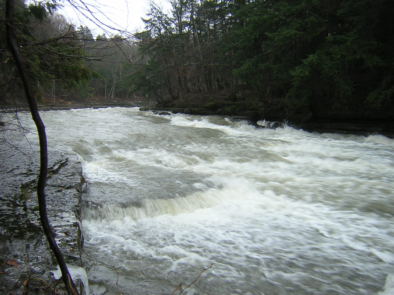 opposite Canoe Hole