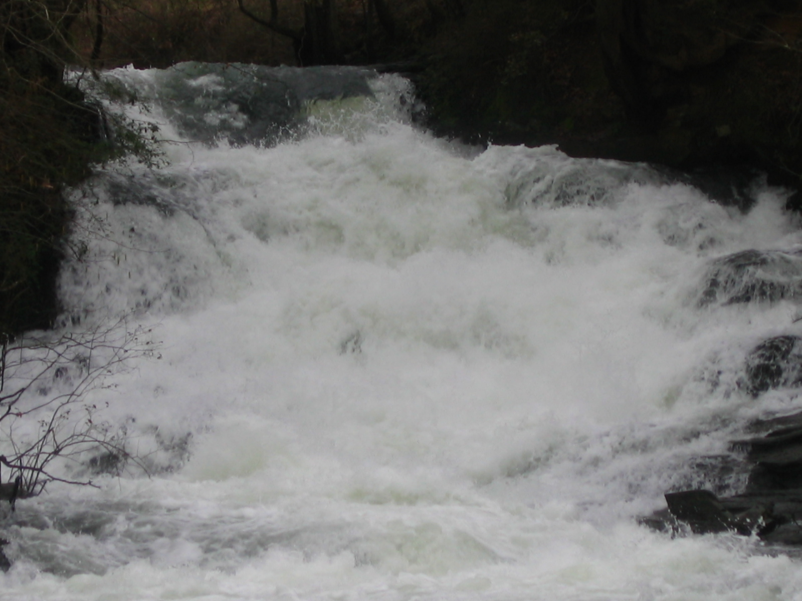 Rae's Creek Waterfall