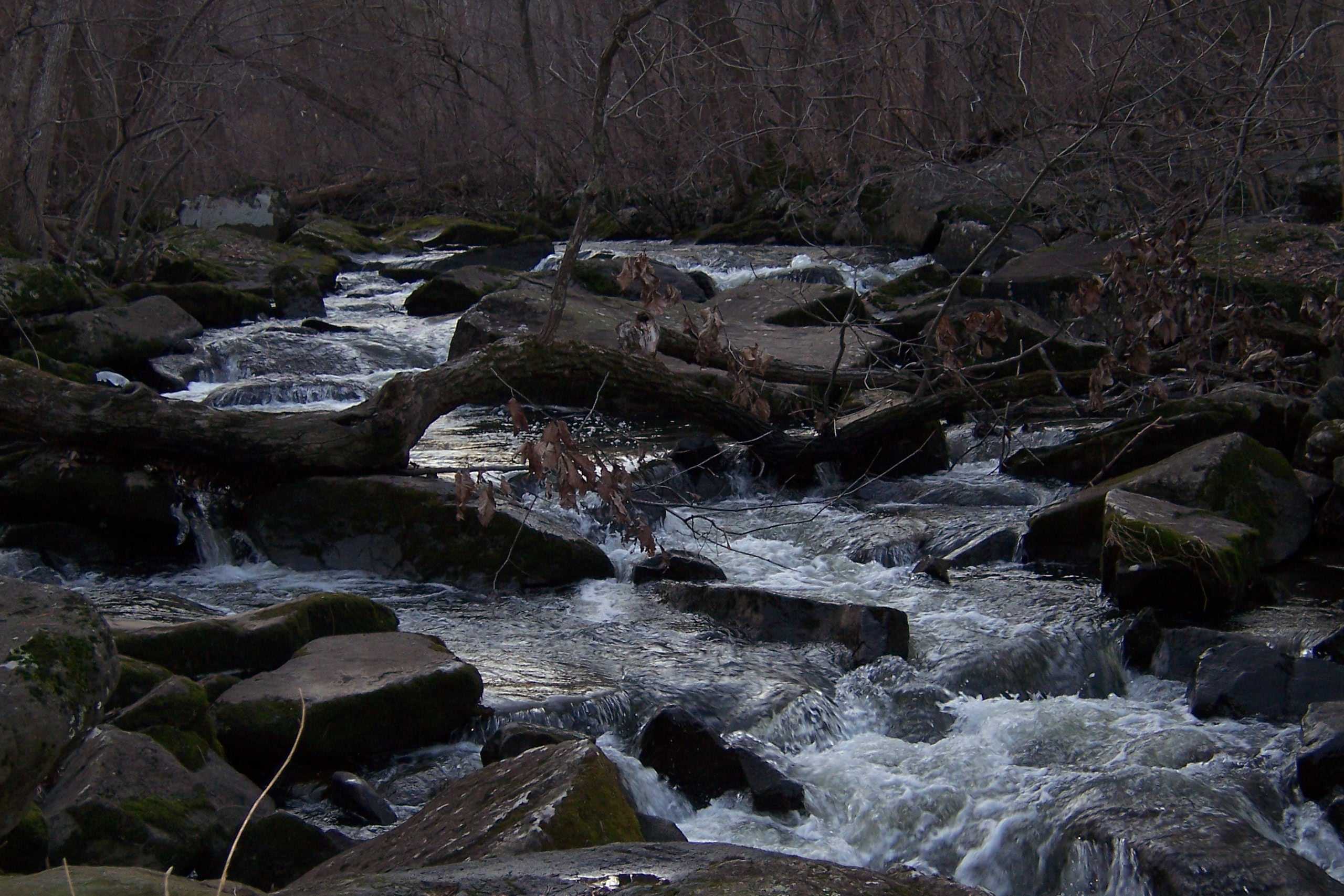 beaver creek beast at very low level