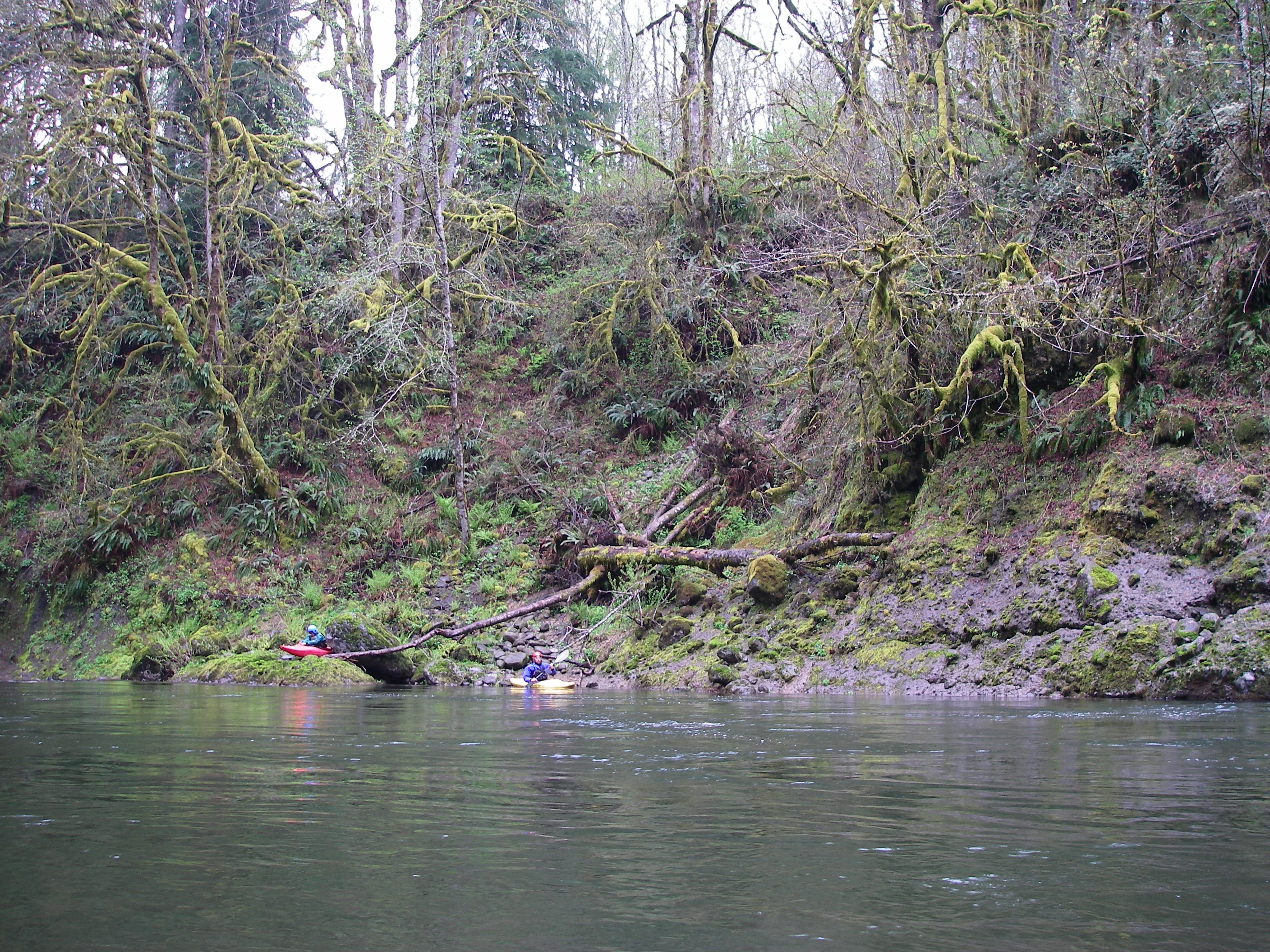 Put-in below '64 logjam