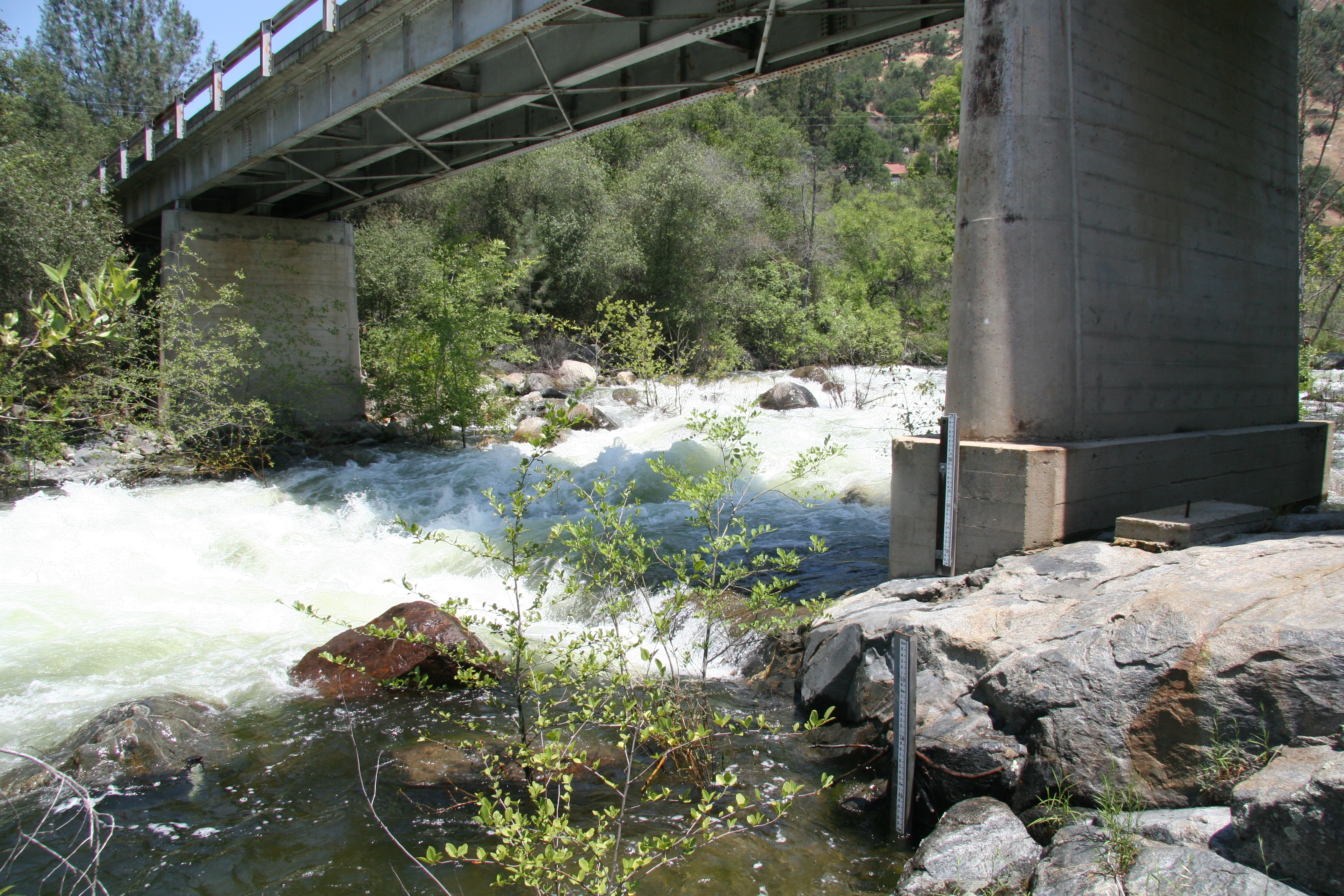 Bridge with gauge