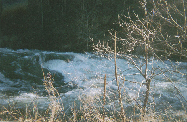 Rapid on middle Cheoah section