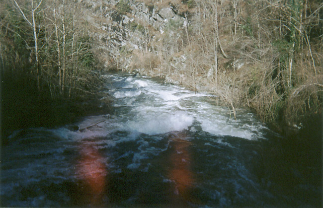 Below the bridge