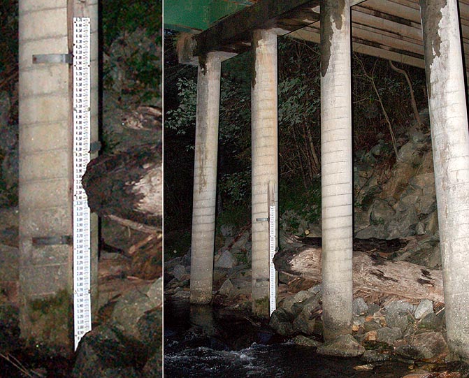 (RM) Bureell's Ford Staff Gage