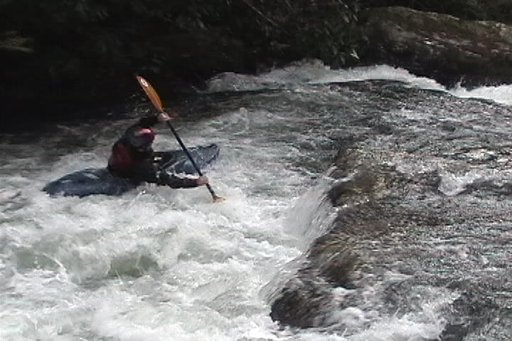 Doe Rapid