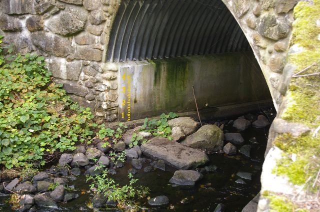 Paddler's Gage
