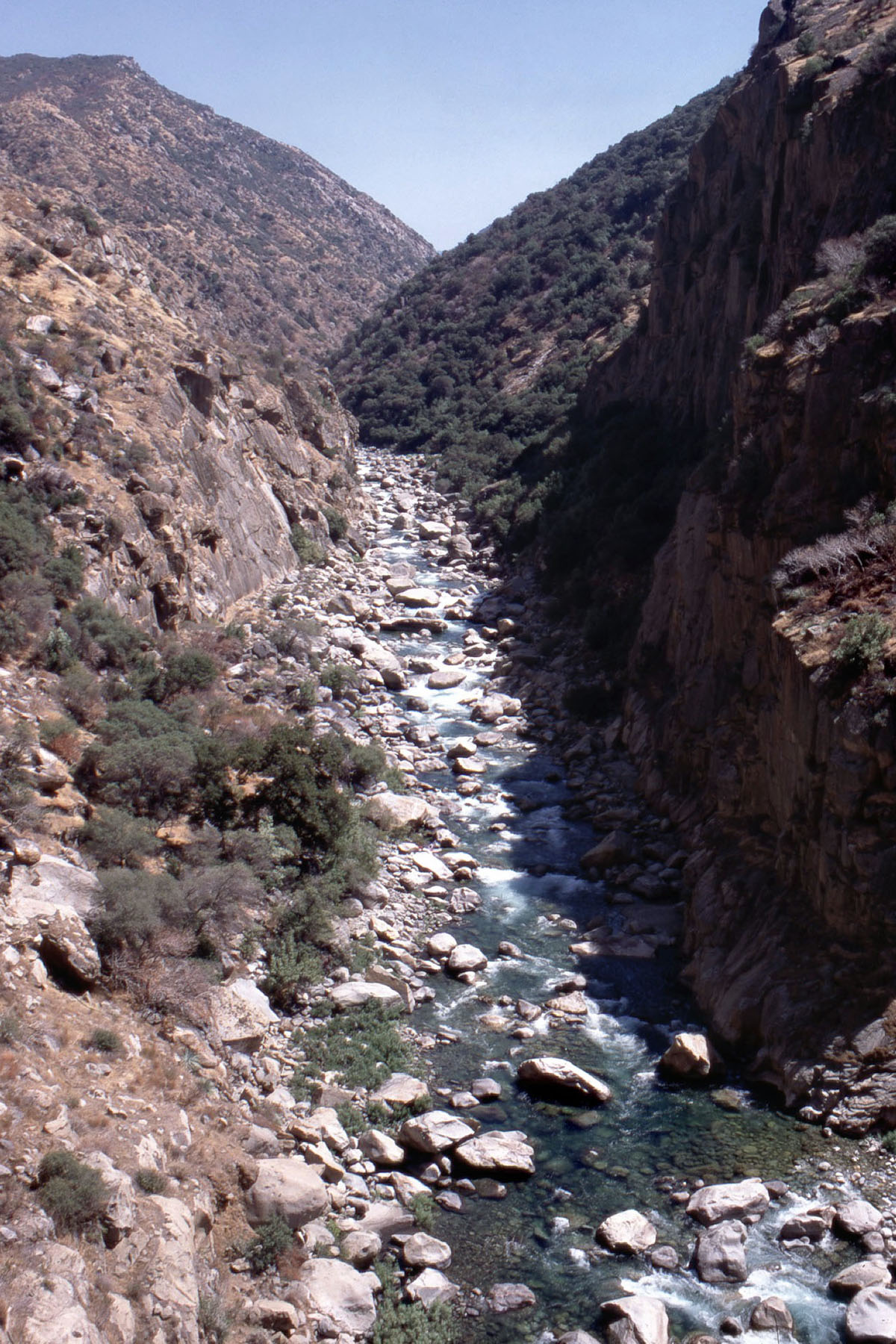 Garlic Falls section