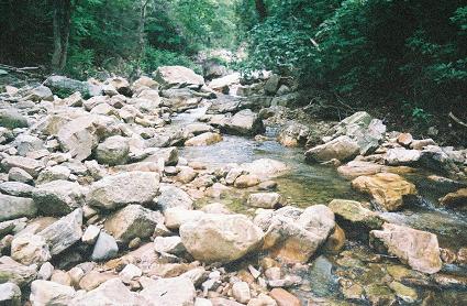 Boulder Garden