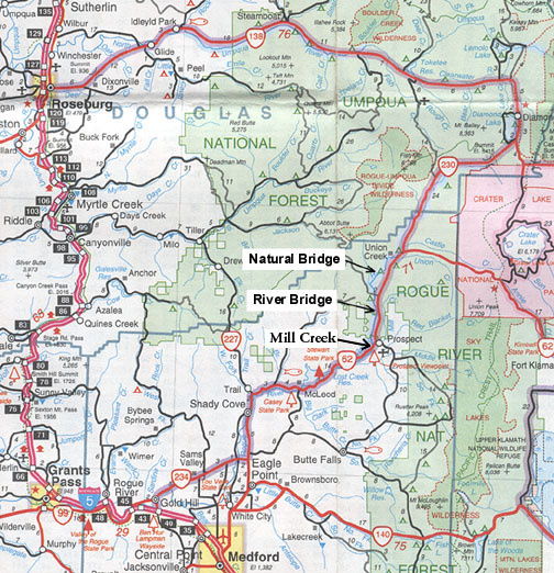 NFRogue Road Map