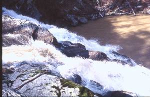 Salt Creek Falls