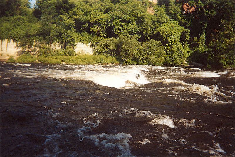 Buried in the Salmon River