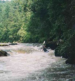 Section 3