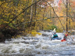 Chase Mill Rapid