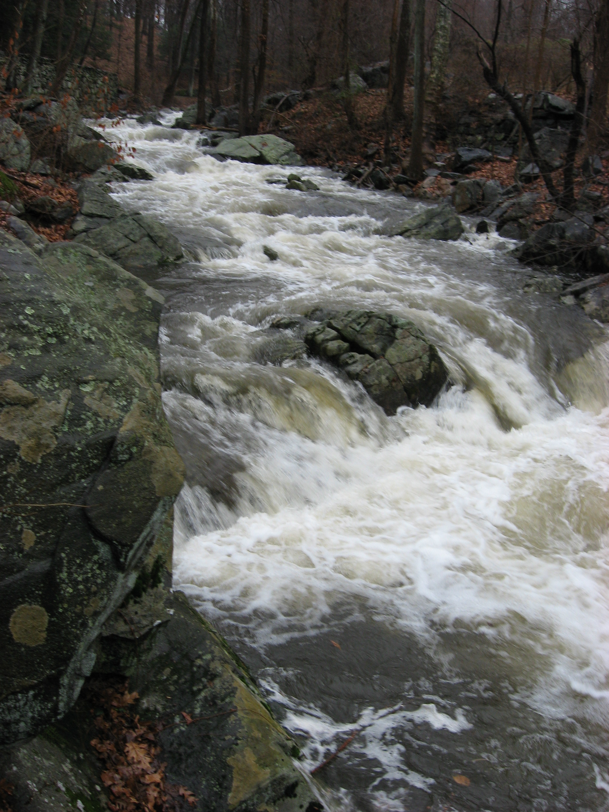 The ledges