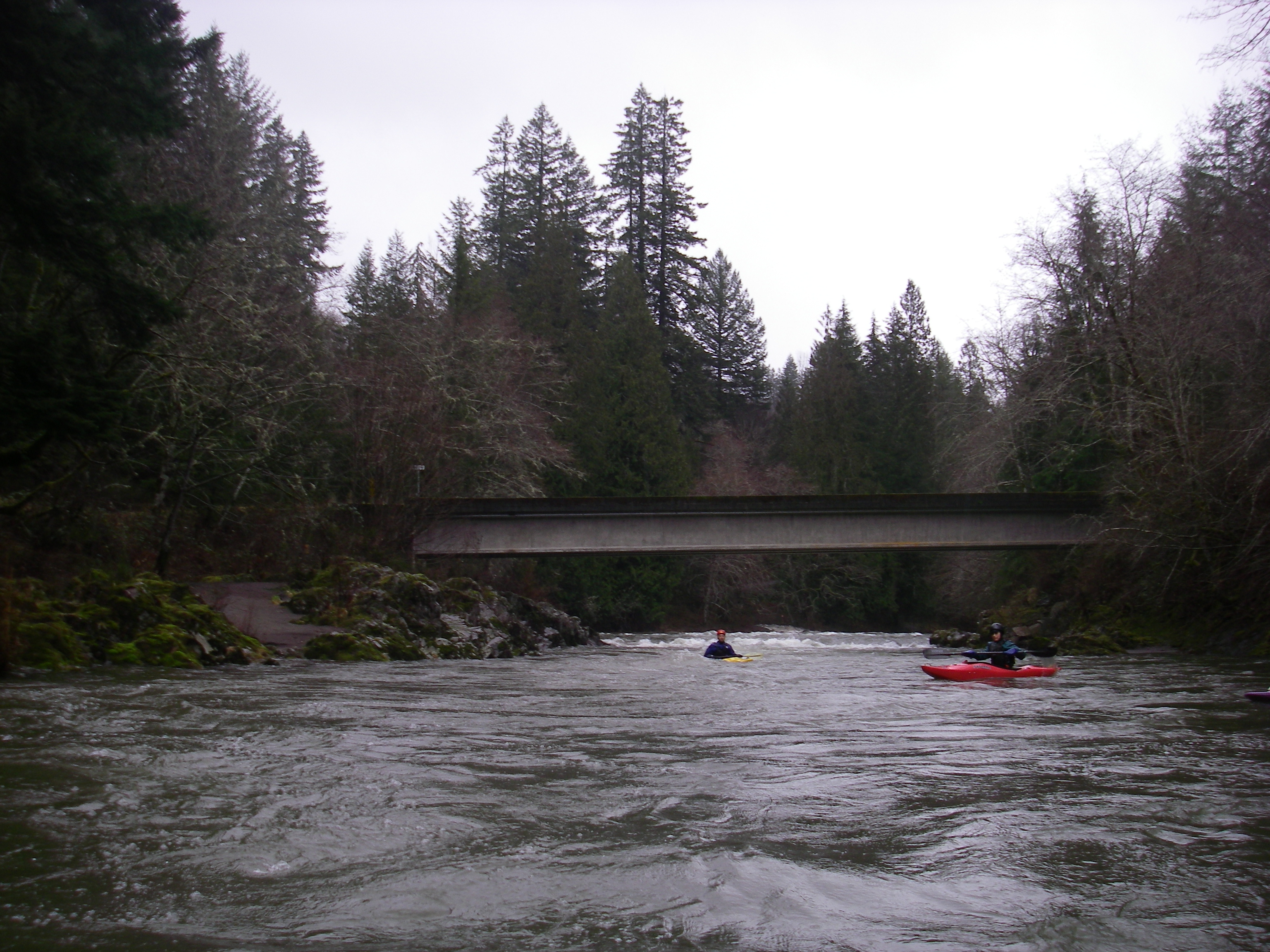8100 Bridge