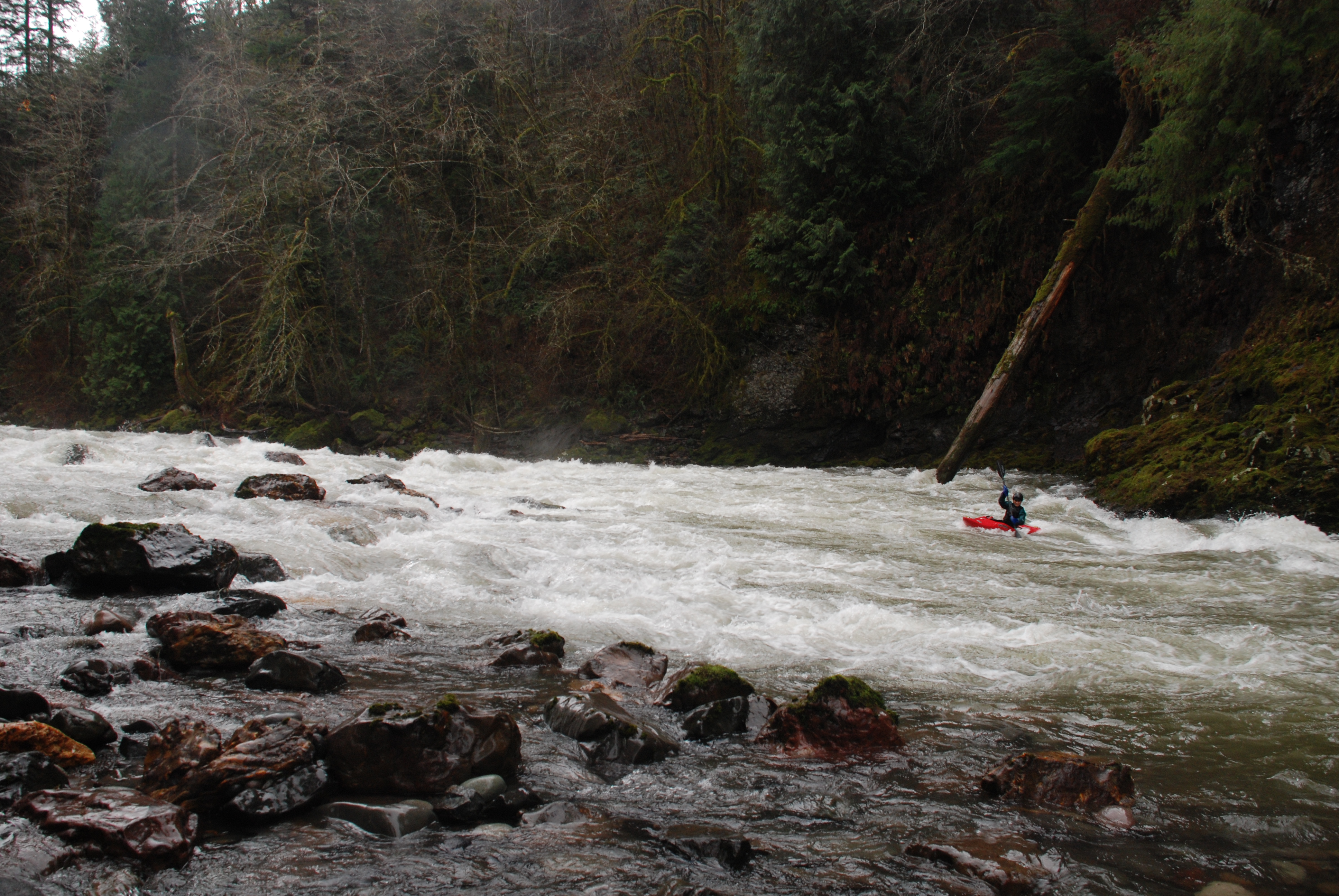 Leader Rapids