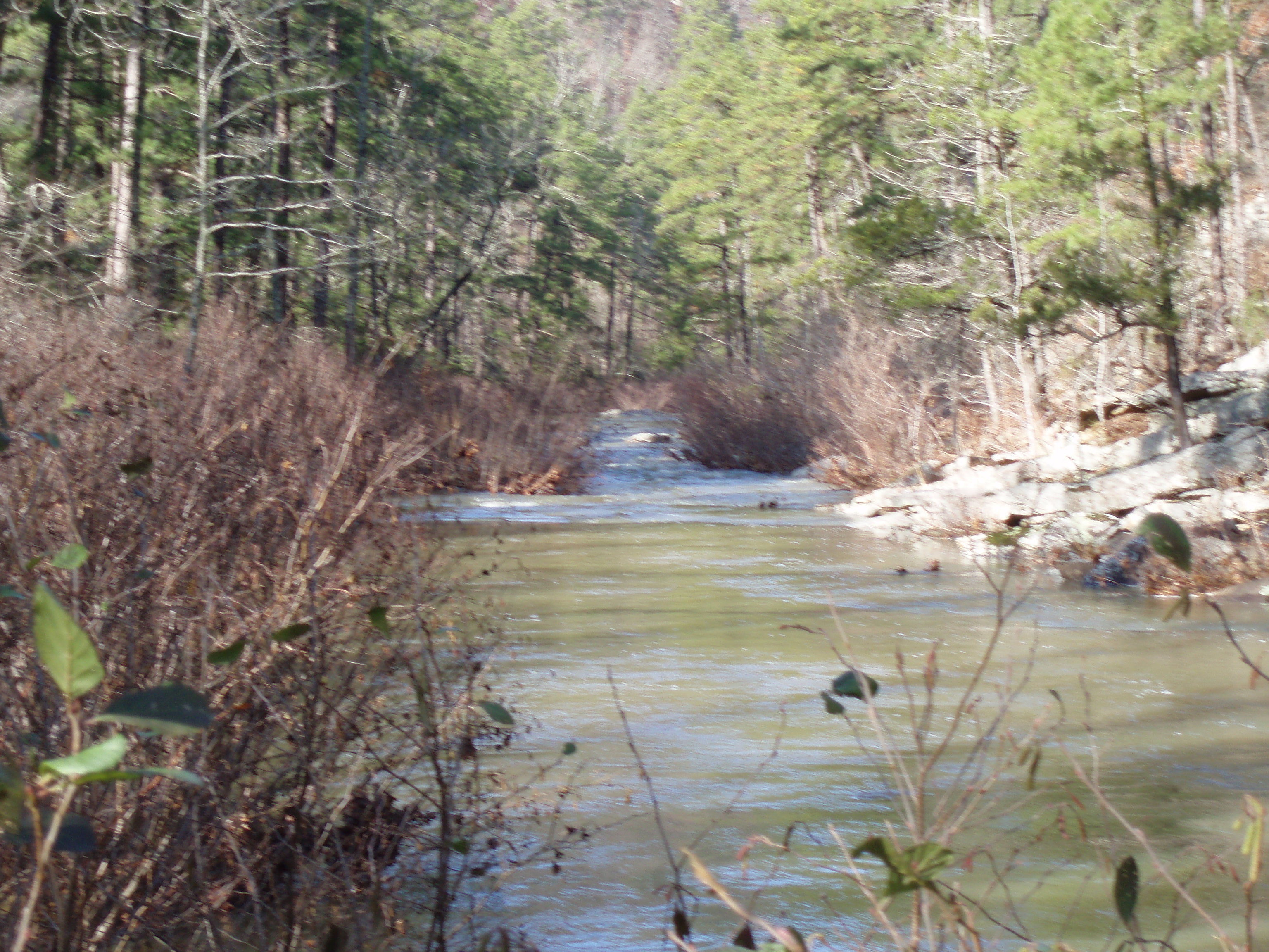 Strainer on Upper Sugar Creek