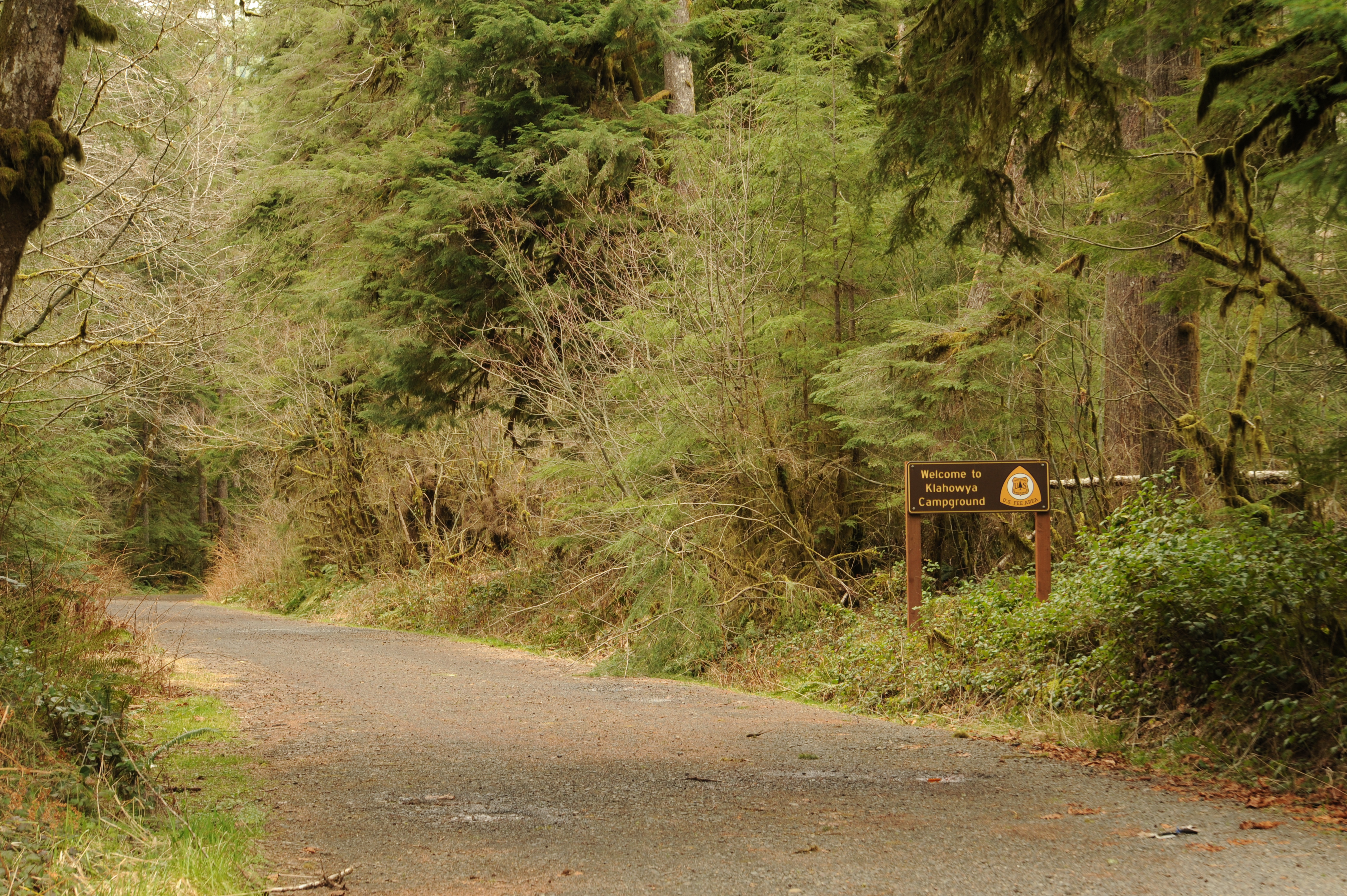 Klahowya Campground Take-Out