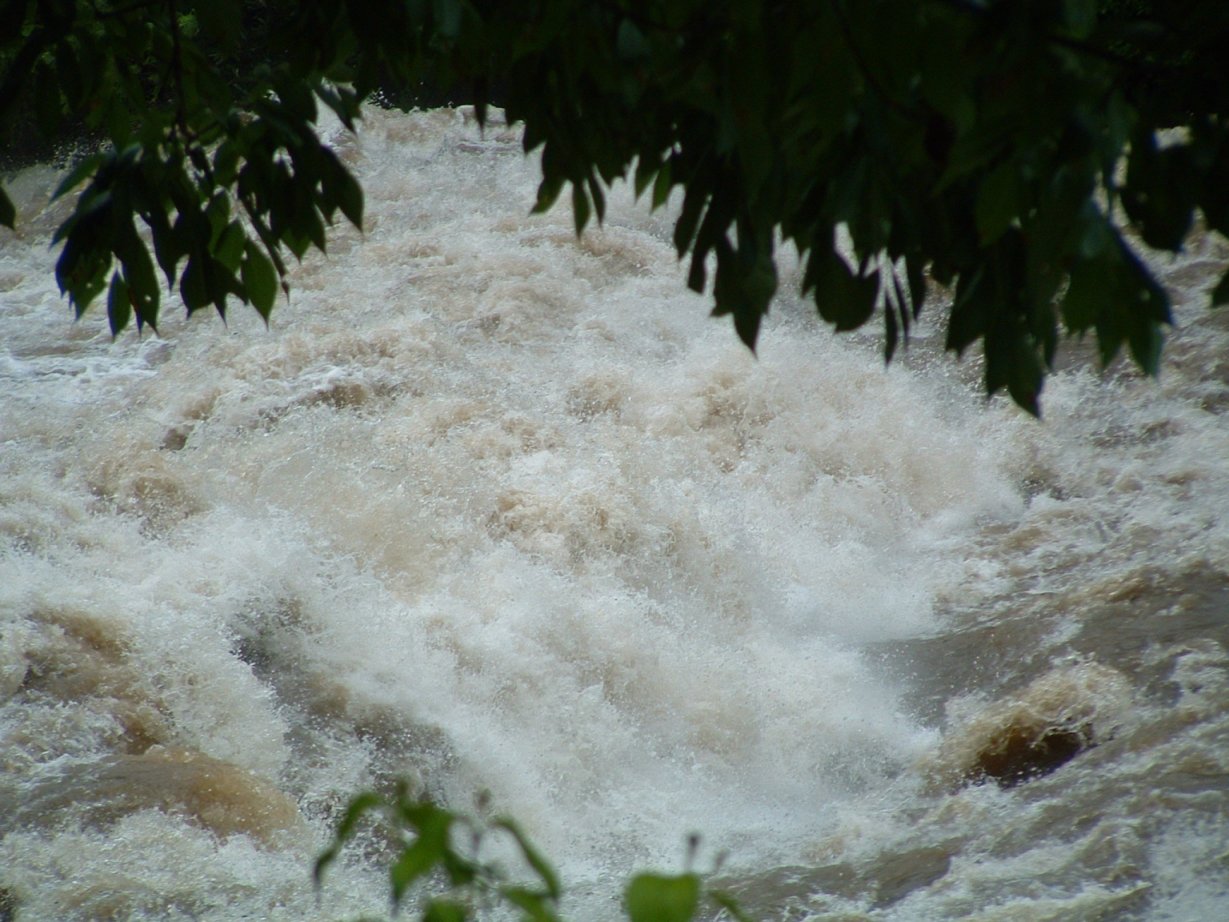 Tellico in Flood by Daniel Fosbinder