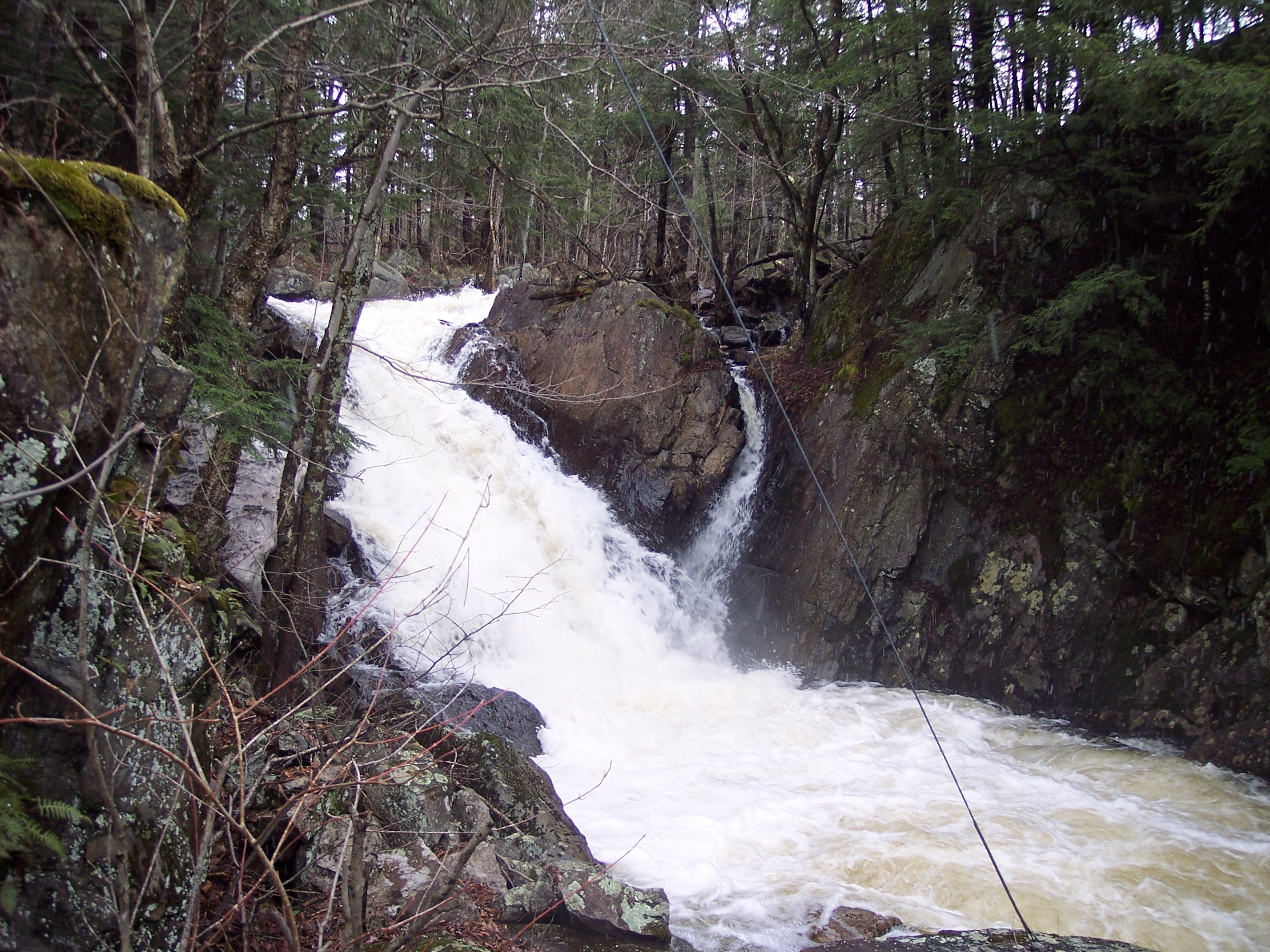 Jayville Rapid