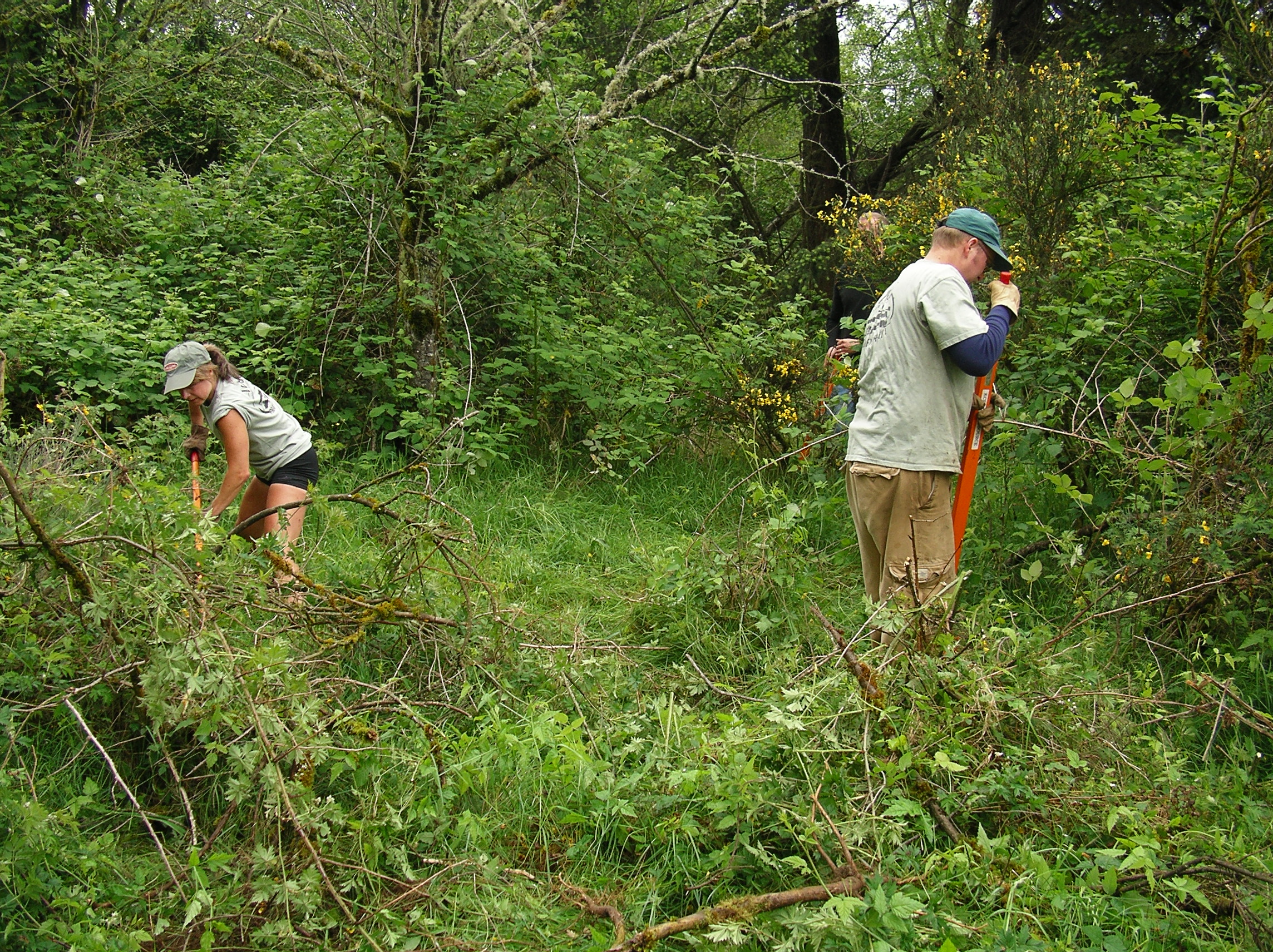 Volunteers on Middle Fork