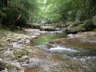 Bear Creek low water