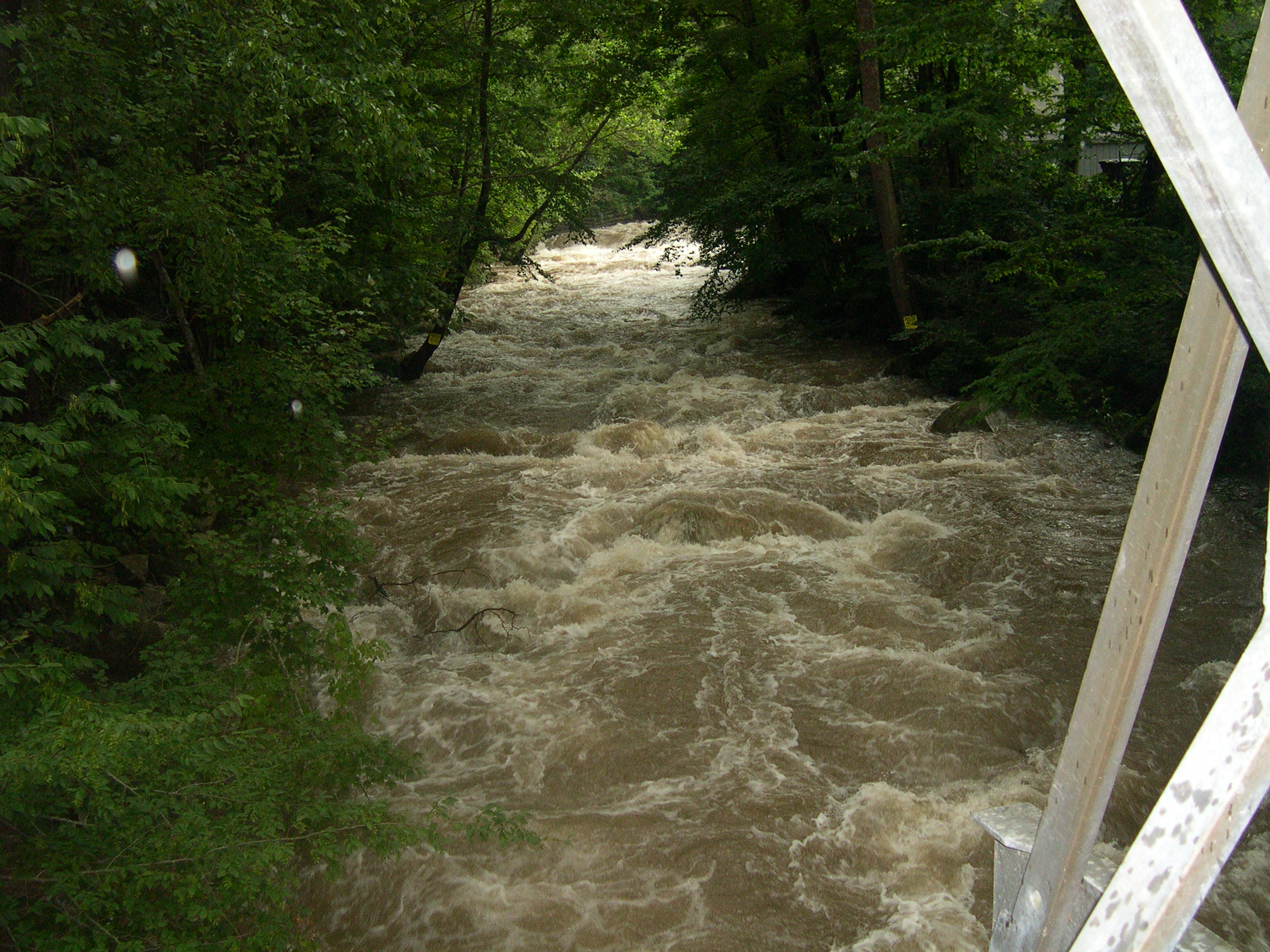 View Upstream from the Accident-Friendsville Bridge