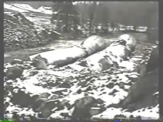 Carp (Mqt) Flood Damage 2