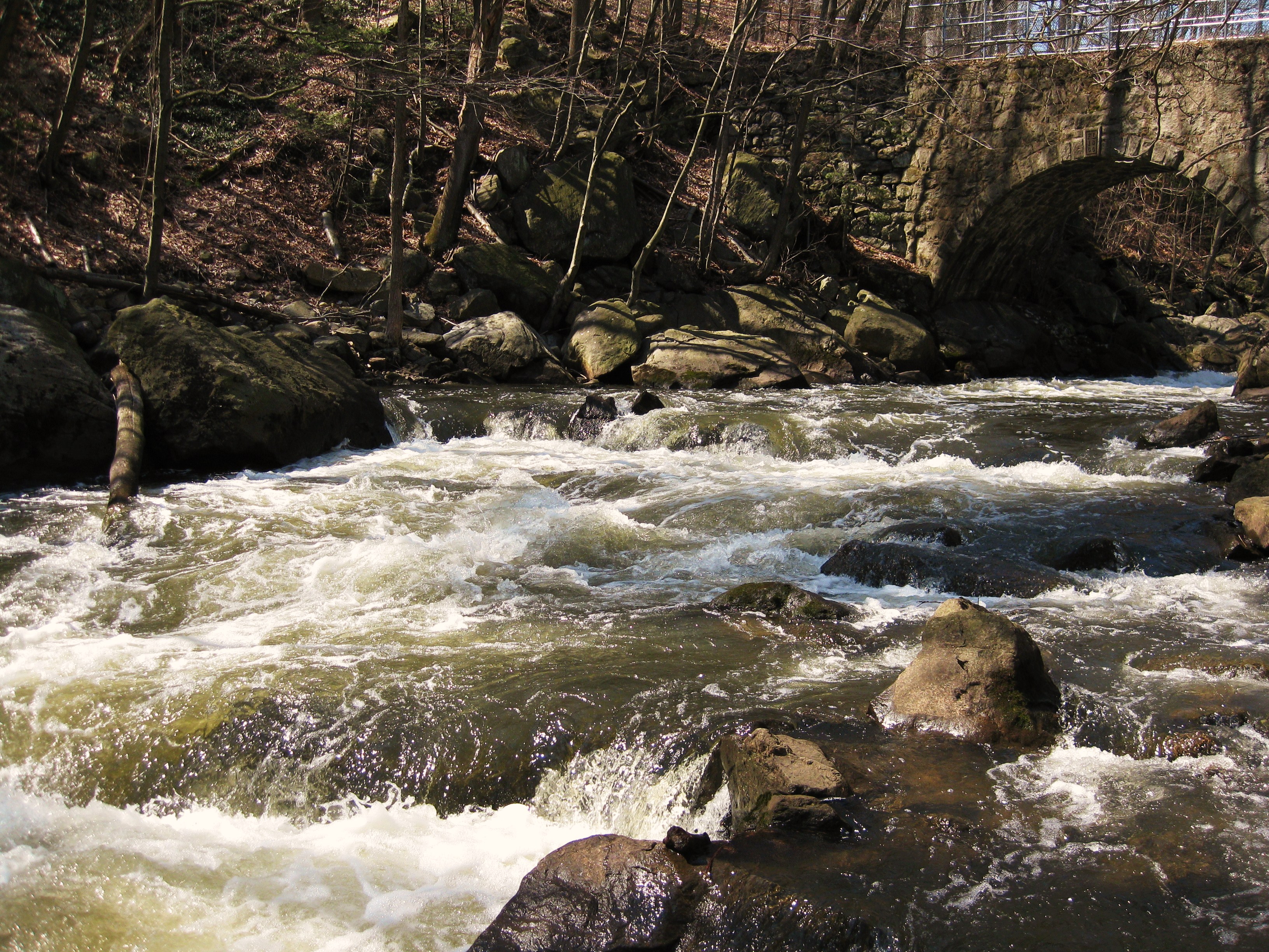 Lower Bridge Rapid