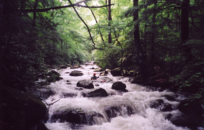 Footbridge rapid