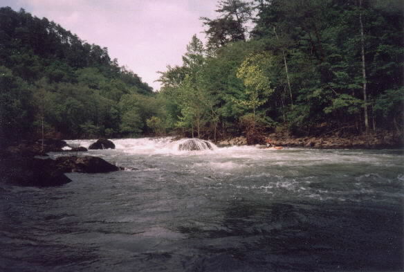 Wu (Second Rapid )