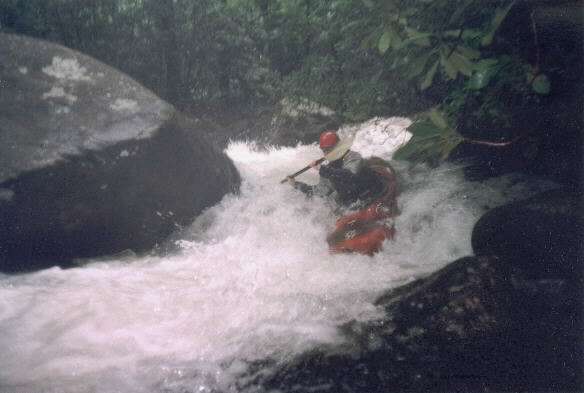 Typical rapid