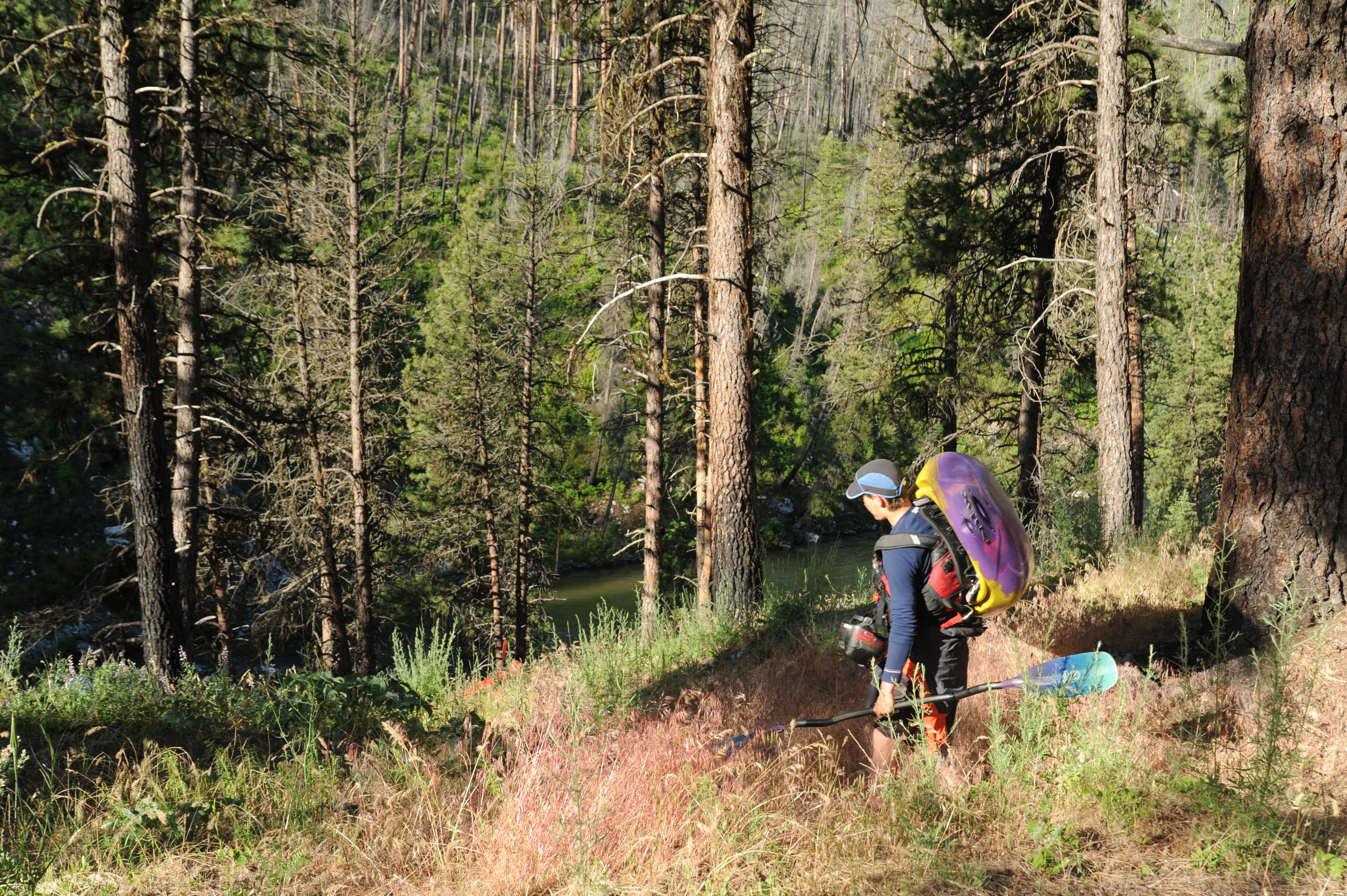 Pine Flats Camgpround