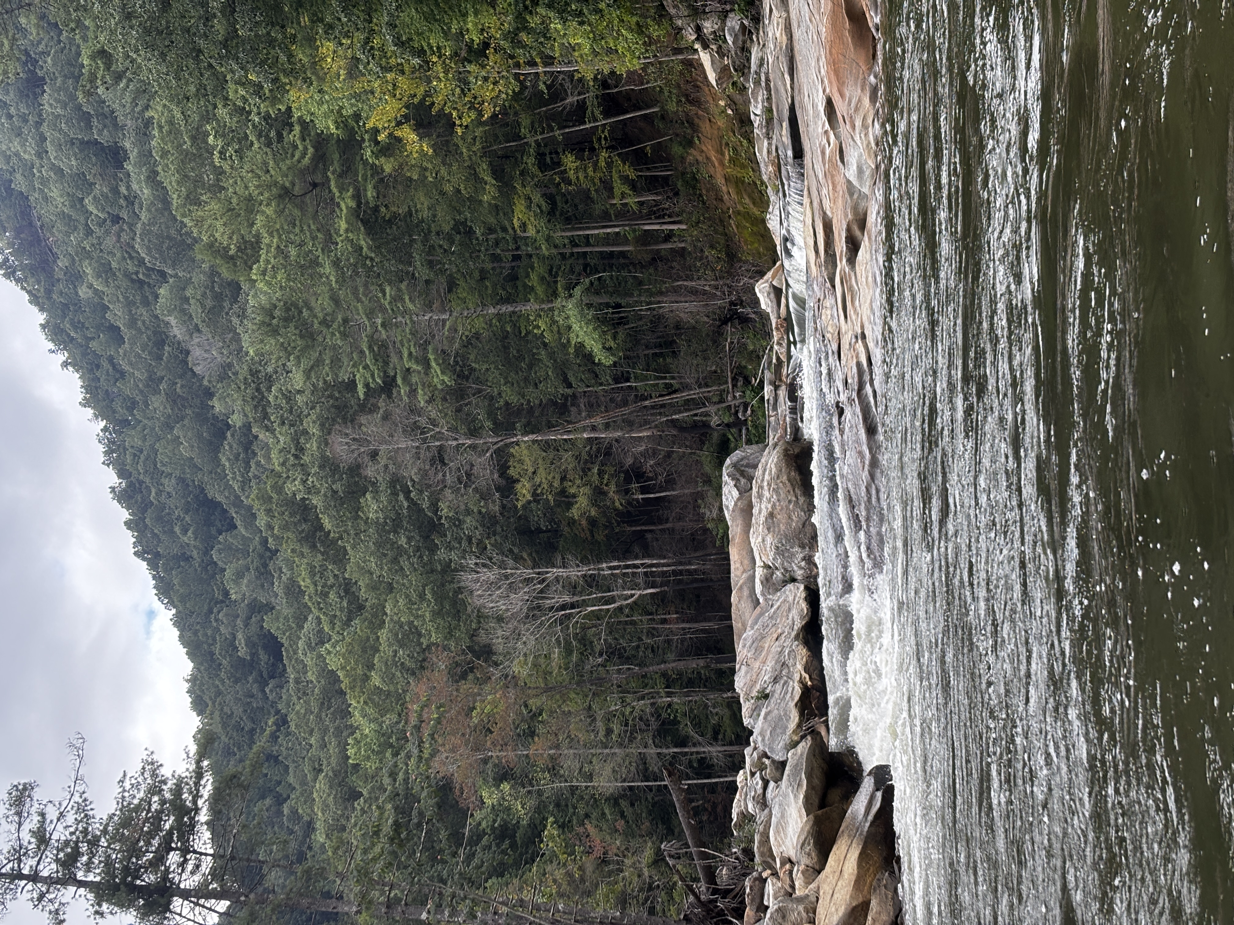 Blackwater Falls