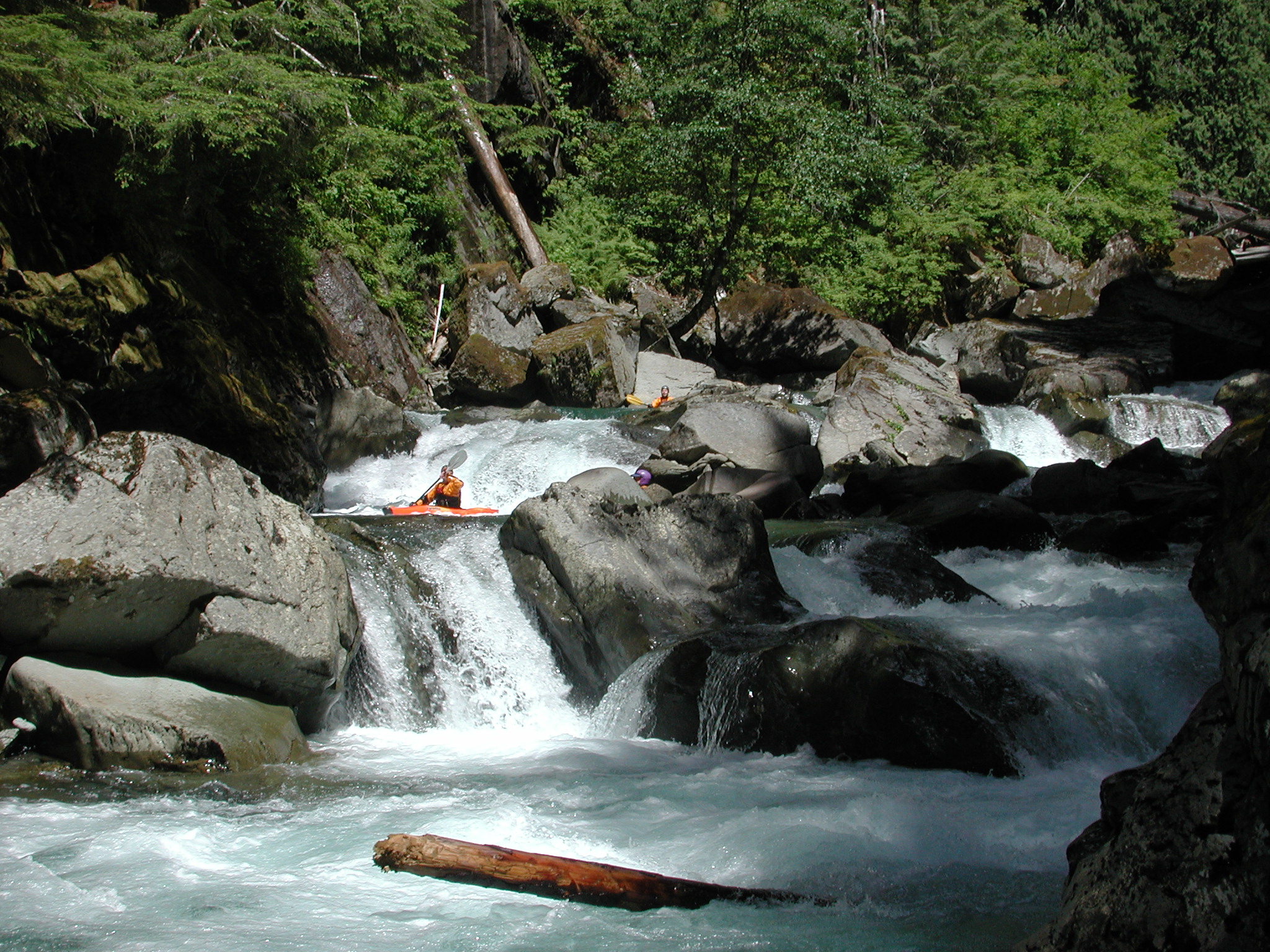 Ohane Rapid