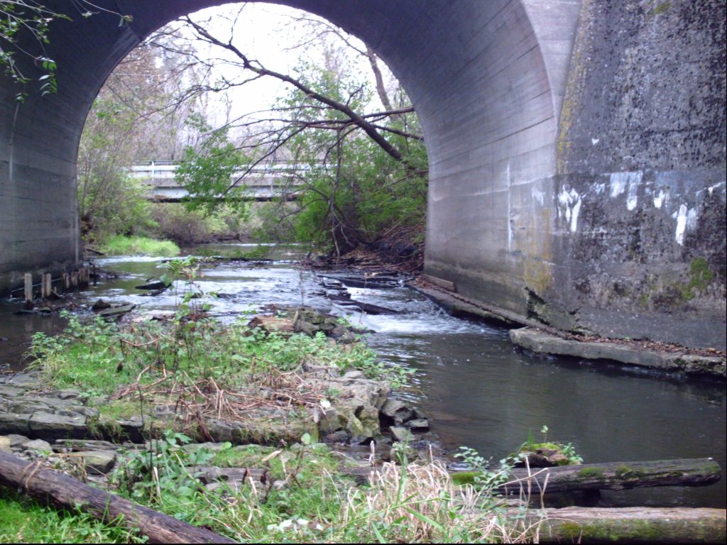 Trestle Trips