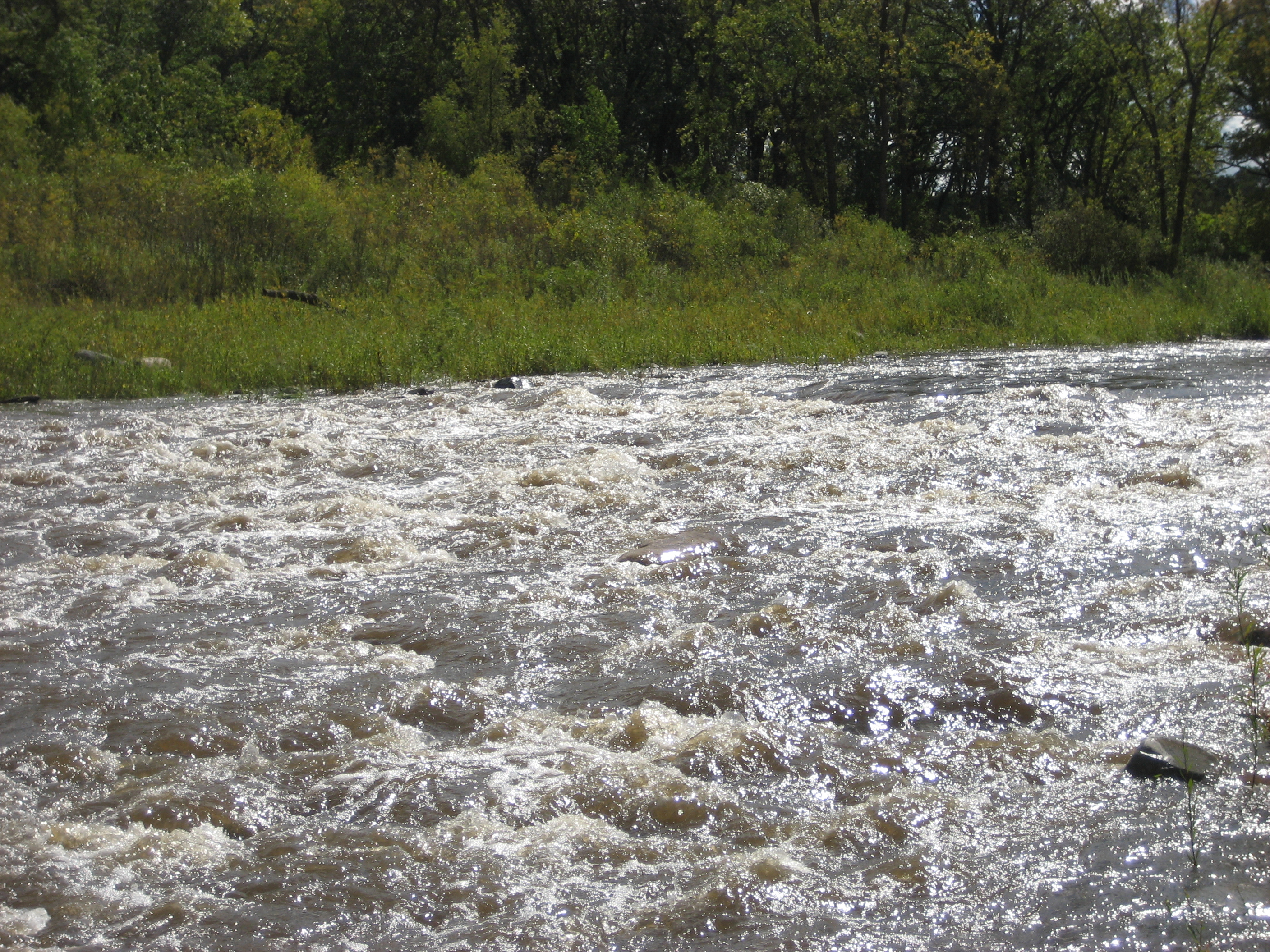 Possible shoals