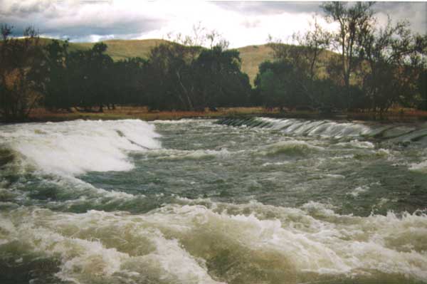 Alta Weir Wave