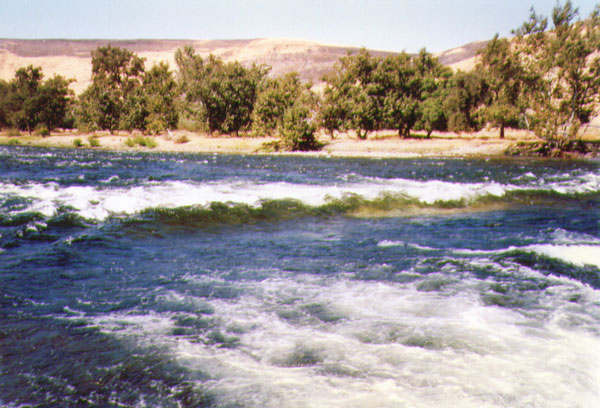 Alta Weir Wave - Low Water