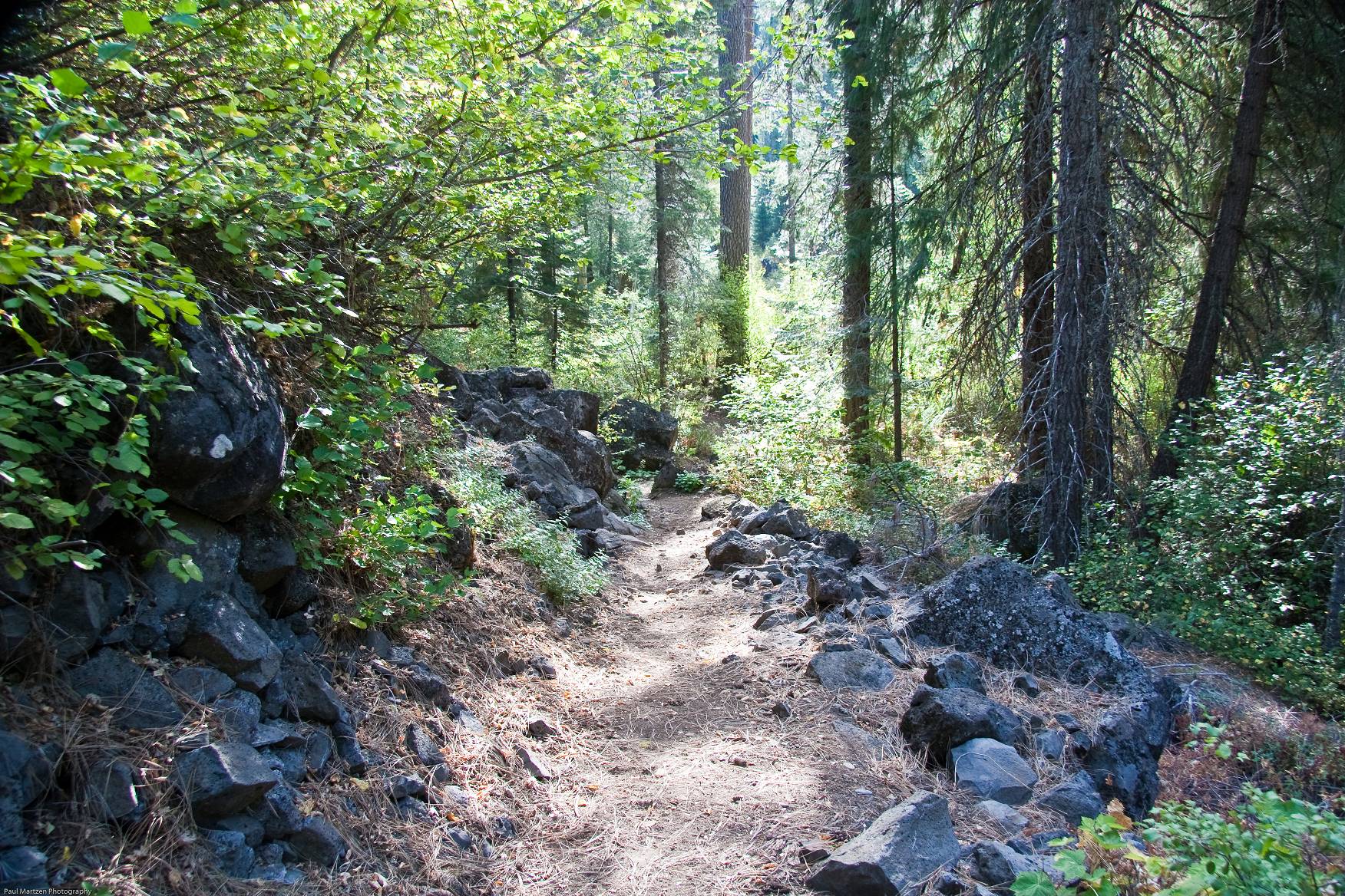 Trail to put in at the "Boat Launch" area