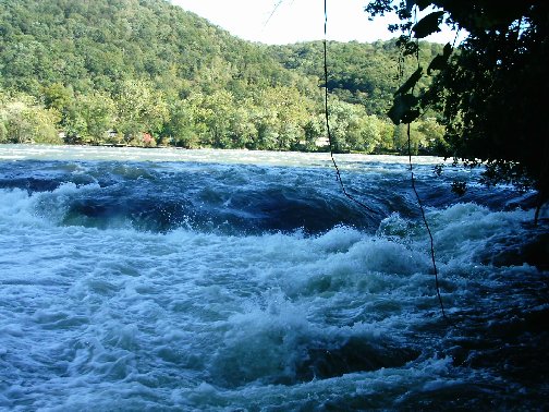 Brooks Falls